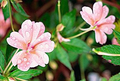 浪人鹰眼再出江湖《漫威复仇者》展望未来新内容